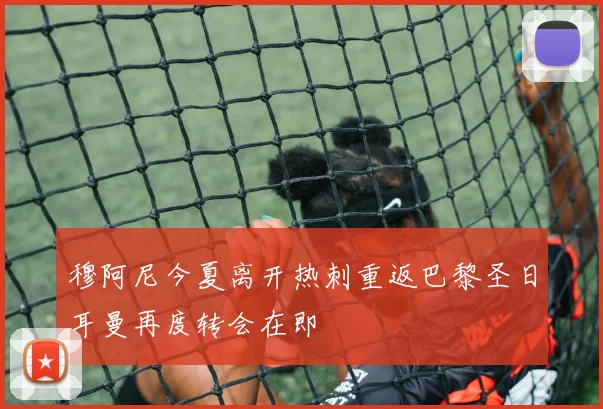 穆阿尼今夏离开热刺重返巴黎圣日耳曼再度转会在即